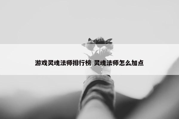 游戏灵魂法师排行榜 灵魂法师怎么加点