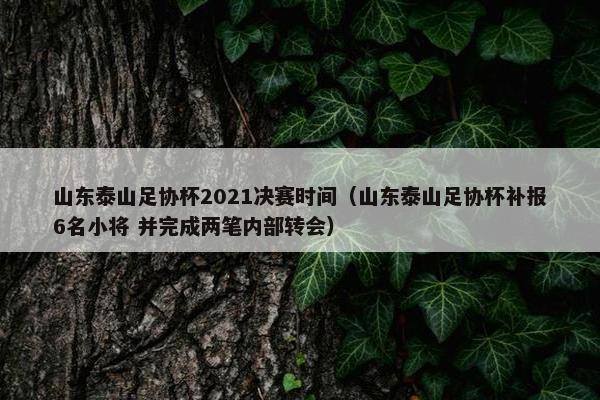 山东泰山足协杯2021决赛时间（山东泰山足协杯补报6名小将 并完成两笔内部转会）