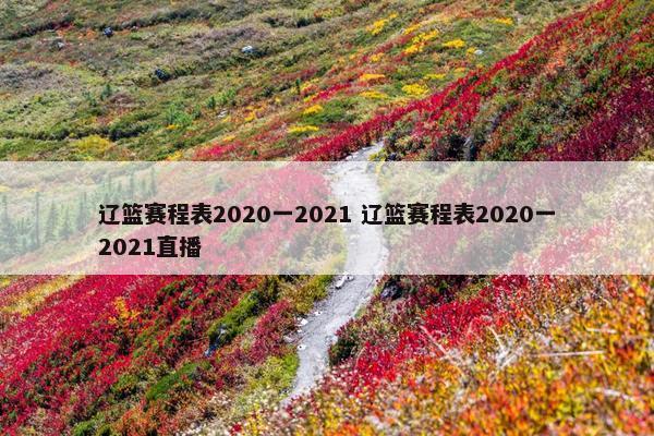 辽篮赛程表2020一2021 辽篮赛程表2020一2021直播