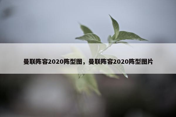 曼联阵容2020阵型图，曼联阵容2020阵型图片