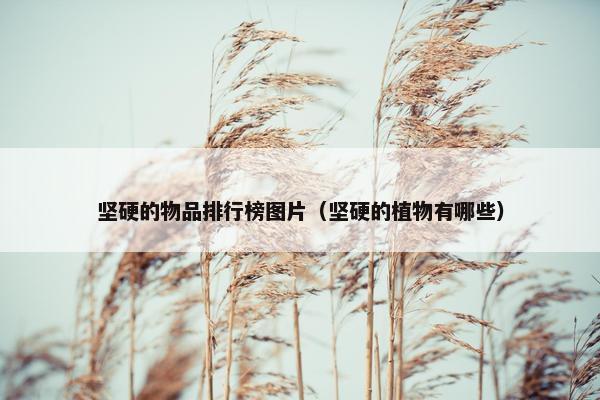 坚硬的物品排行榜图片（坚硬的植物有哪些）