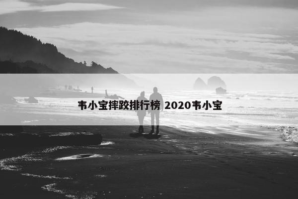 韦小宝摔跤排行榜 2020韦小宝