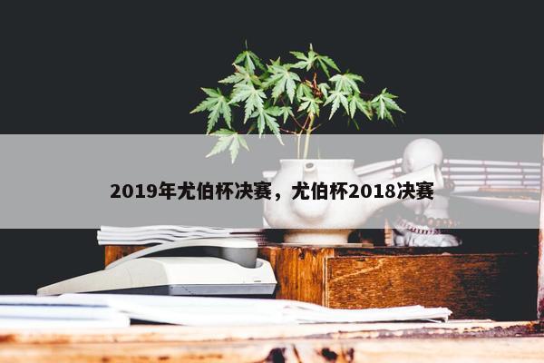 2019年尤伯杯决赛，尤伯杯2018决赛