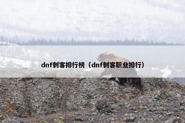 dnf刺客排行榜（dnf刺客职业排行）