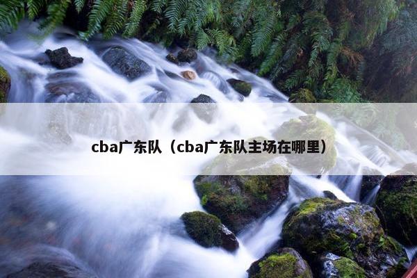 cba广东队（cba广东队主场在哪里）