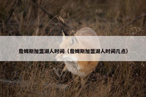 詹姆斯加盟湖人时间（詹姆斯加盟湖人时间几点）