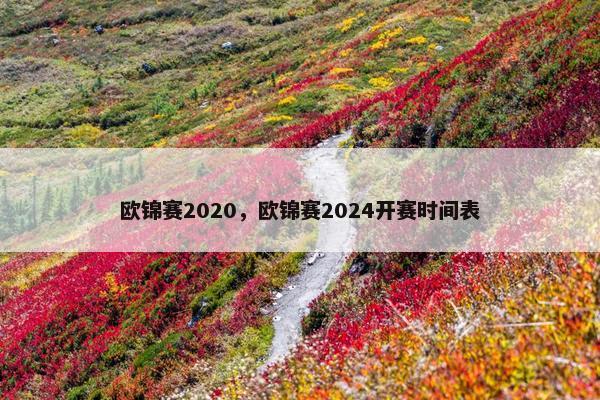 欧锦赛2020，欧锦赛2024开赛时间表