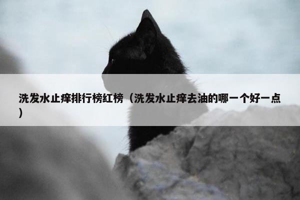 洗发水止痒排行榜红榜（洗发水止痒去油的哪一个好一点）