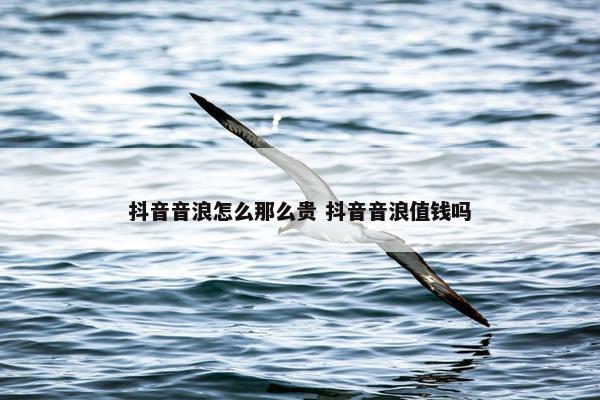 抖音音浪怎么那么贵 抖音音浪值钱吗