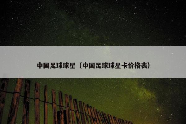 中国足球球星（中国足球球星卡价格表）