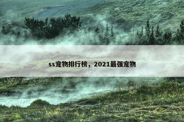 ss宠物排行榜，2021最强宠物