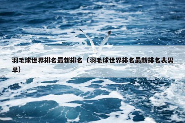 羽毛球世界排名最新排名（羽毛球世界排名最新排名表男单）