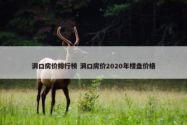 洞口房价排行榜 洞口房价2020年楼盘价格