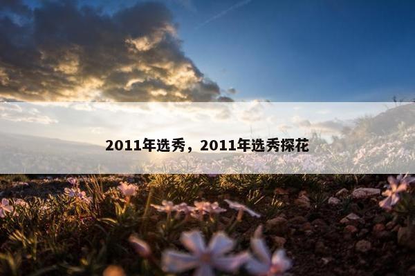 2011年选秀，2011年选秀探花