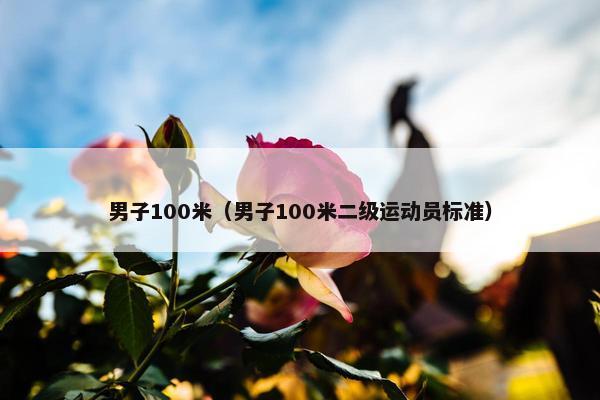 男子100米（男子100米二级运动员标准）