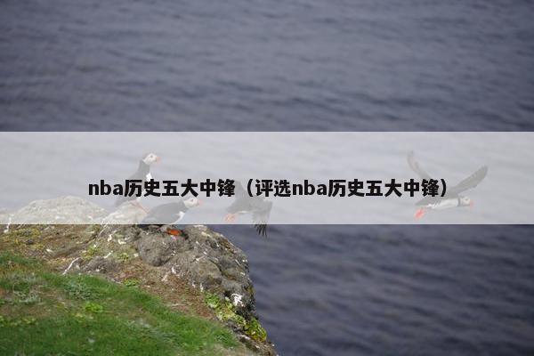 nba历史五大中锋（评选nba历史五大中锋）