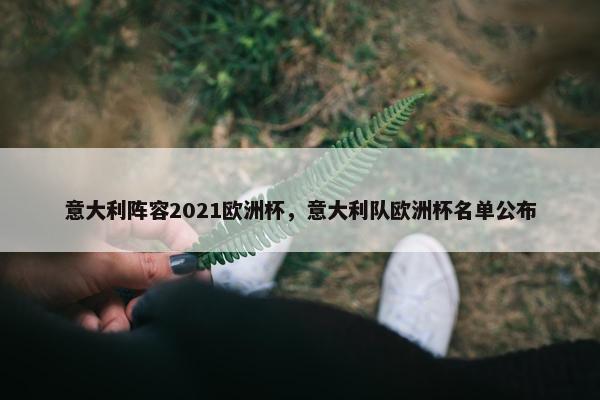 意大利阵容2021欧洲杯，意大利队欧洲杯名单公布