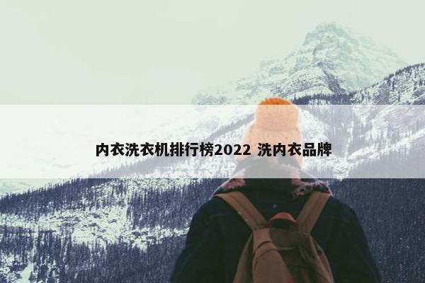 内衣洗衣机排行榜2022 洗内衣品牌