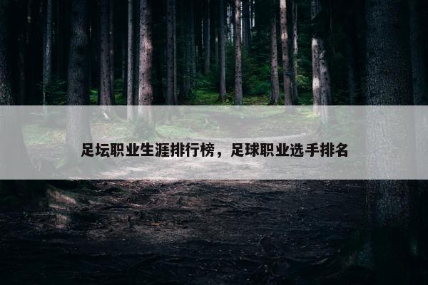 足坛职业生涯排行榜，足球职业选手排名