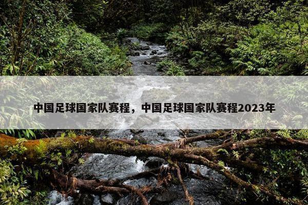 中国足球国家队赛程，中国足球国家队赛程2023年