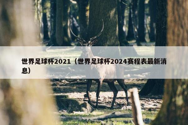 世界足球杯2021（世界足球杯2024赛程表最新消息）