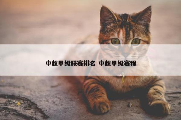 中超甲级联赛排名 中超甲级赛程