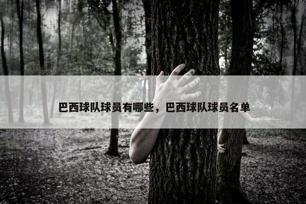 巴西球队球员有哪些，巴西球队球员名单