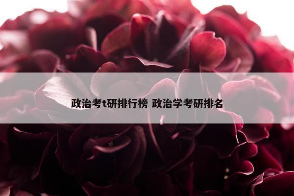 政治考t研排行榜 政治学考研排名