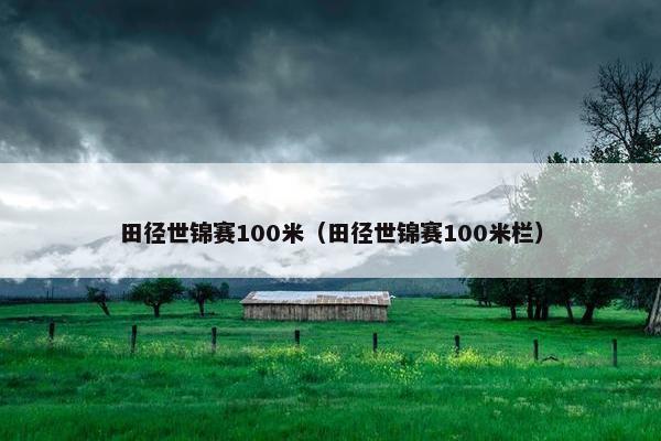 田径世锦赛100米（田径世锦赛100米栏）