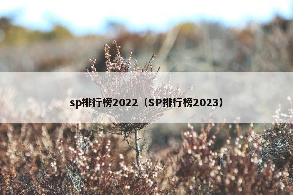 sp排行榜2022（SP排行榜2023）