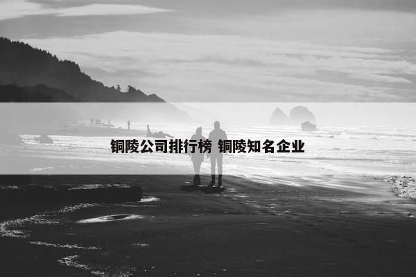 铜陵公司排行榜 铜陵知名企业