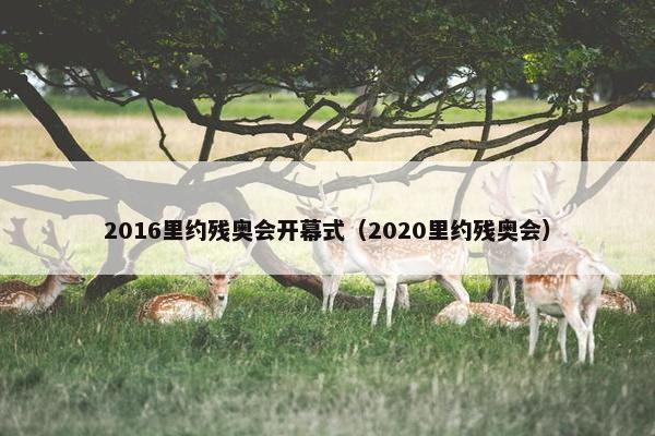 2016里约残奥会开幕式（2020里约残奥会）