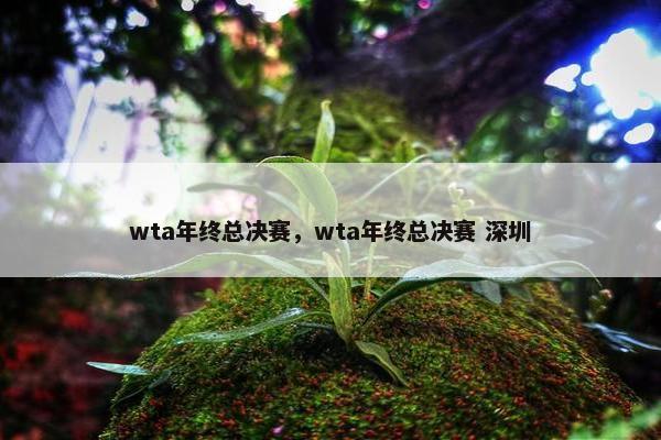 wta年终总决赛，wta年终总决赛 深圳