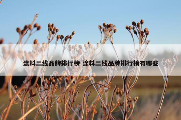 涂料二线品牌排行榜 涂料二线品牌排行榜有哪些