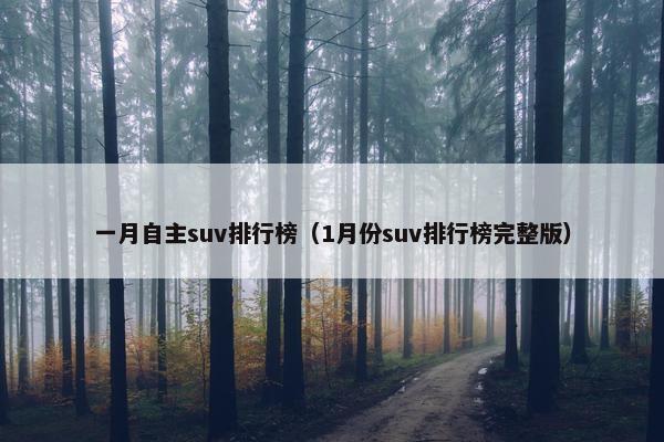 一月自主suv排行榜（1月份suv排行榜完整版）