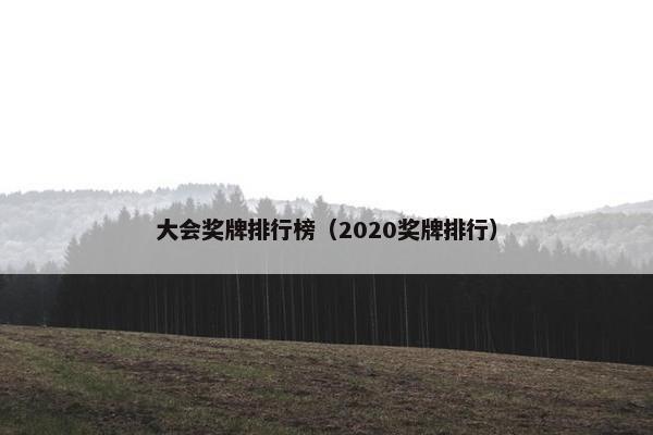 大会奖牌排行榜（2020奖牌排行）