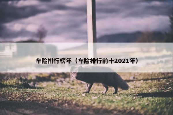 车险排行榜年（车险排行前十2021年）