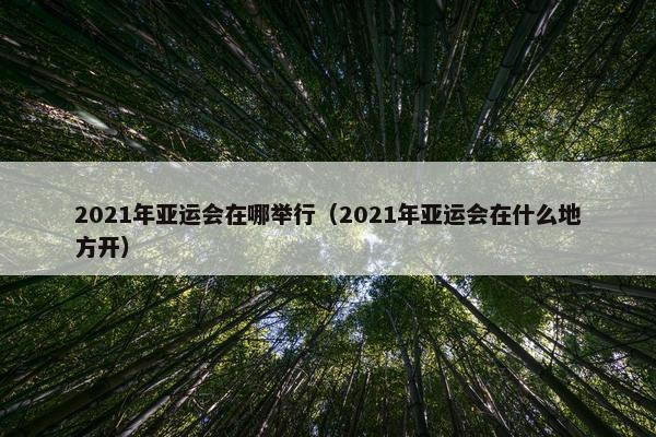 2021年亚运会在哪举行（2021年亚运会在什么地方开）