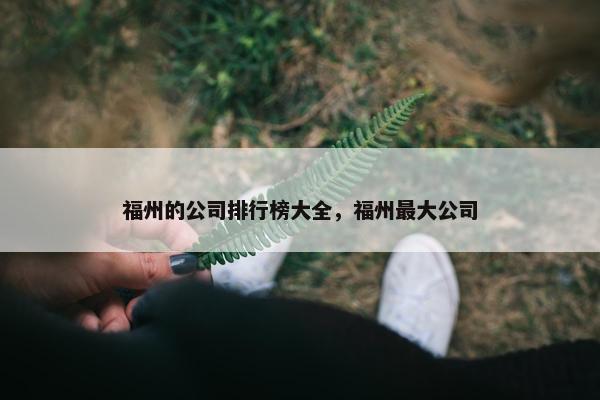 福州的公司排行榜大全，福州最大公司