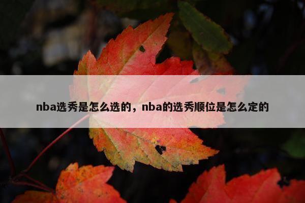 nba选秀是怎么选的，nba的选秀顺位是怎么定的