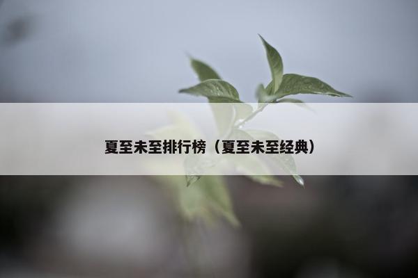 夏至未至排行榜（夏至未至经典）