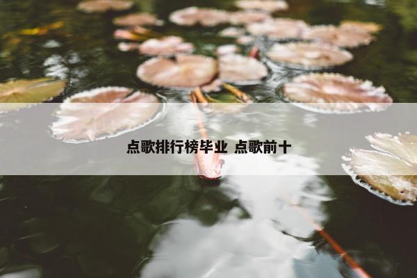 点歌排行榜毕业 点歌前十