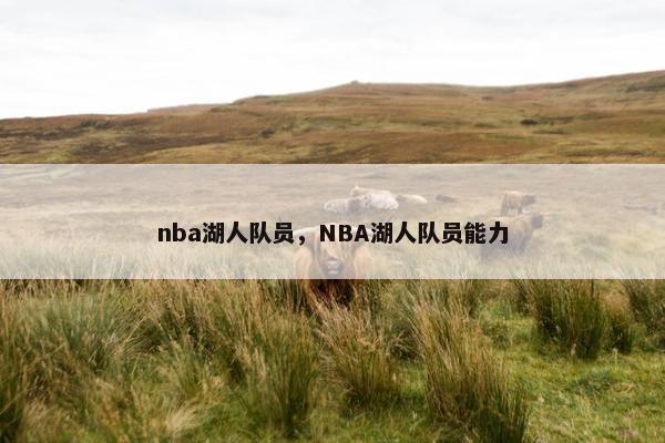 nba湖人队员，NBA湖人队员能力