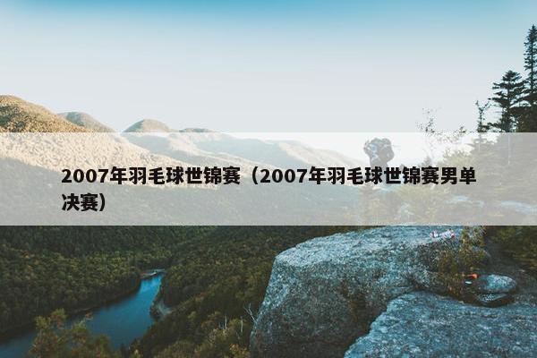 2007年羽毛球世锦赛（2007年羽毛球世锦赛男单决赛）