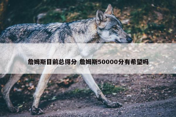 詹姆斯目前总得分 詹姆斯50000分有希望吗