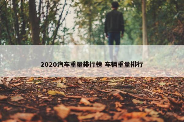 2020汽车重量排行榜 车辆重量排行