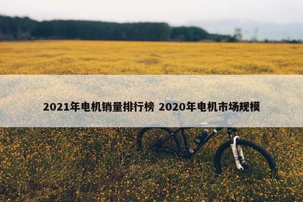 2021年电机销量排行榜 2020年电机市场规模