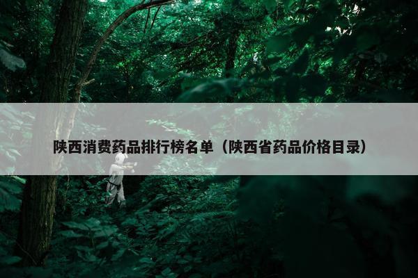 陕西消费药品排行榜名单（陕西省药品价格目录）