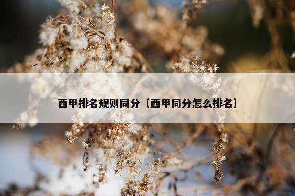 西甲排名规则同分（西甲同分怎么排名）