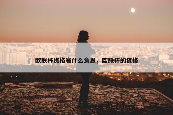 欧联杯资格赛什么意思，欧联杯的资格